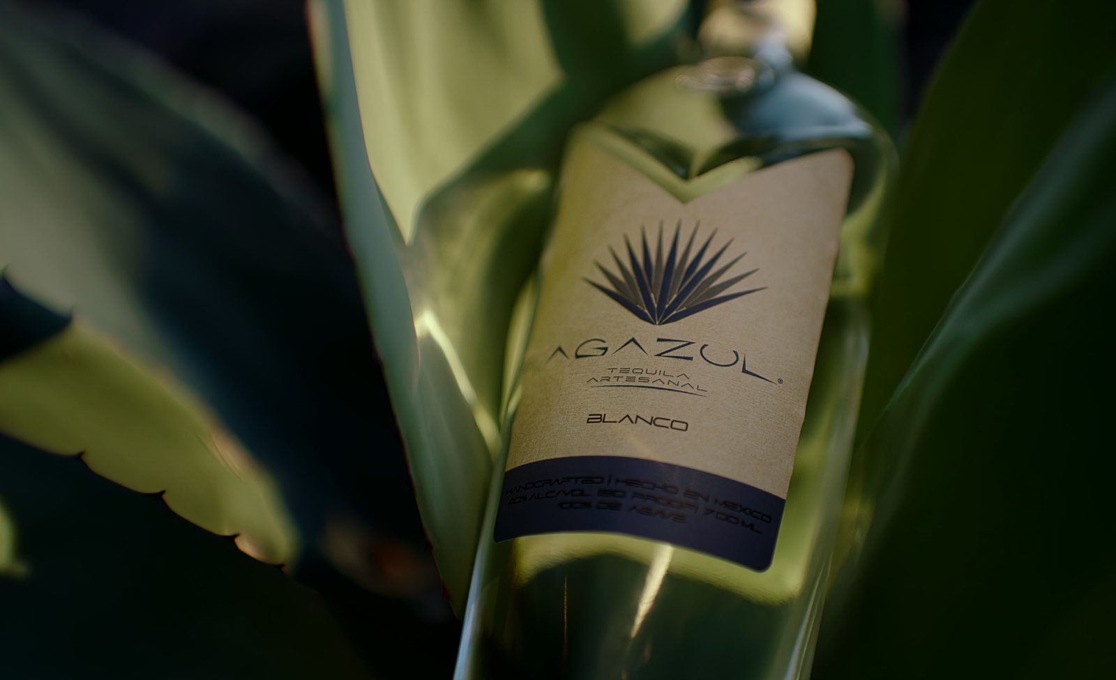A tequila bottle nestled among broad agave leaves in low green light.
