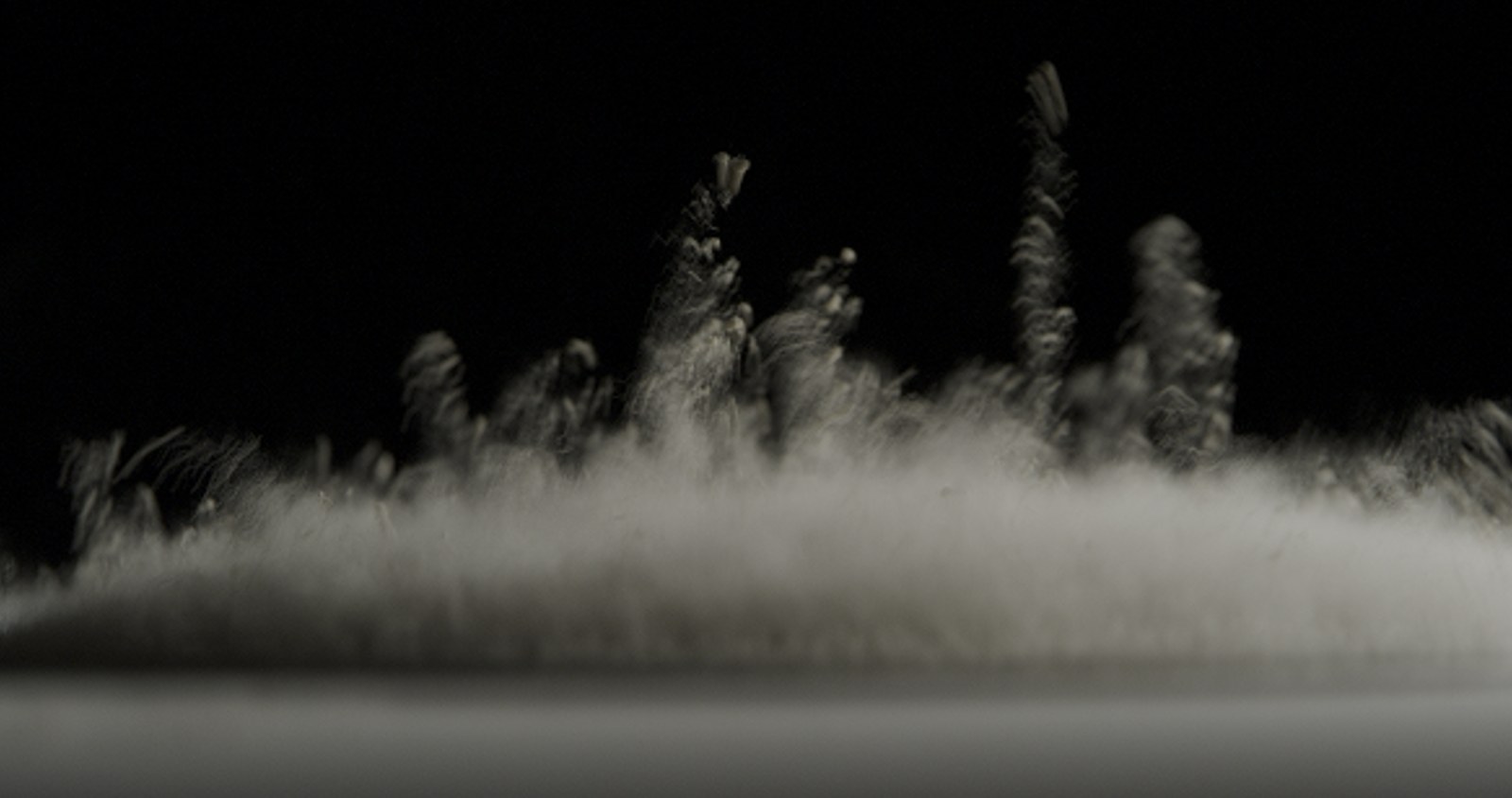 Powder bursts off a vibrating speaker cone in tall plumes against black.