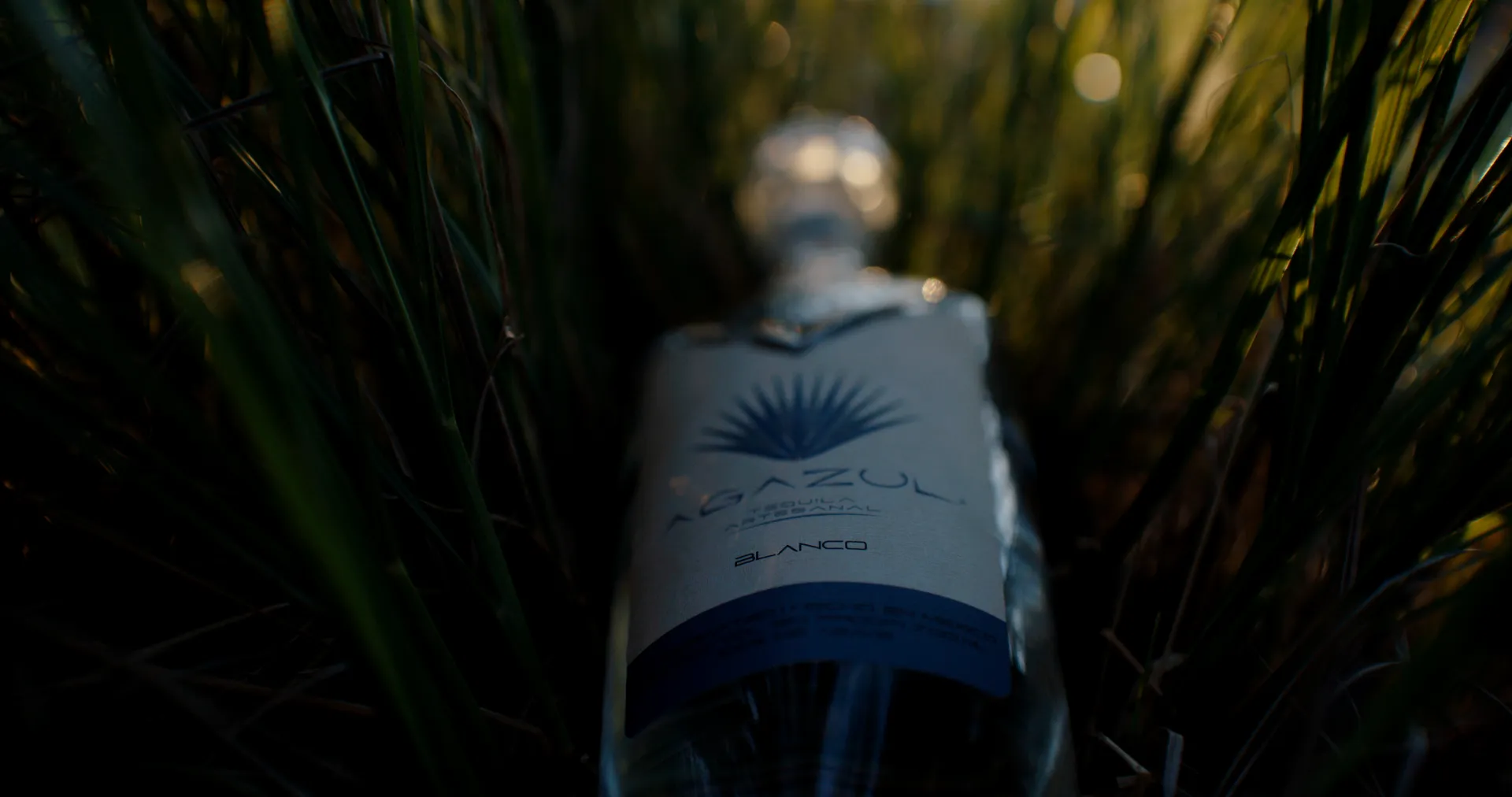 Agazul bottle backlit in tall grass