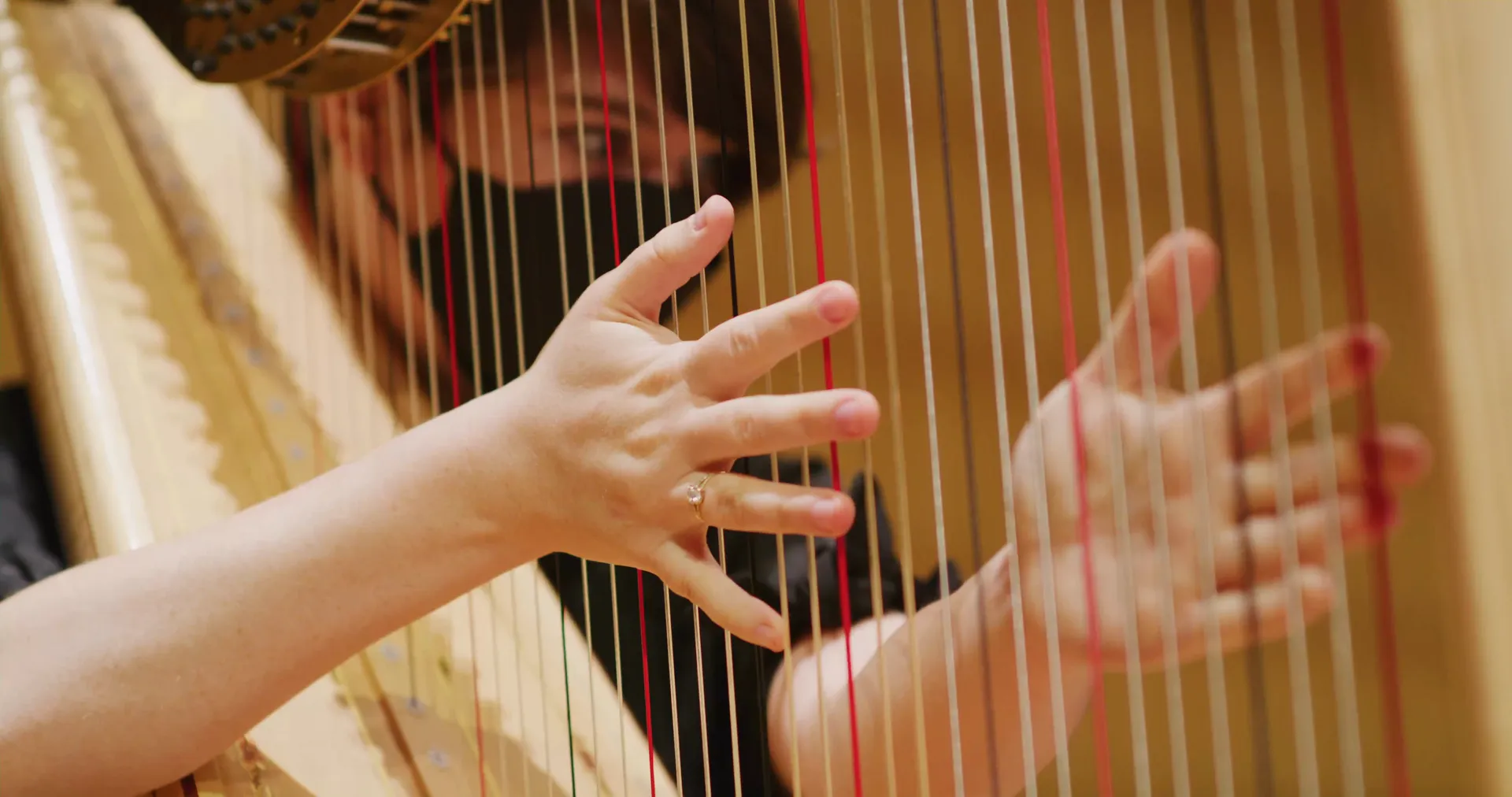 A harpist’s hands spread across the strings in warm light