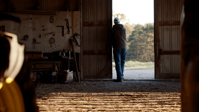 Lincoln Hough — frame 04
