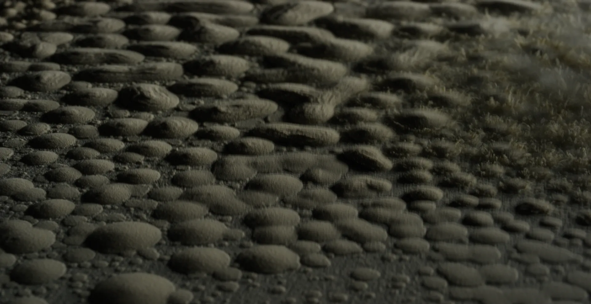 Rippled powder forming rows of shallow pits, raked by low light