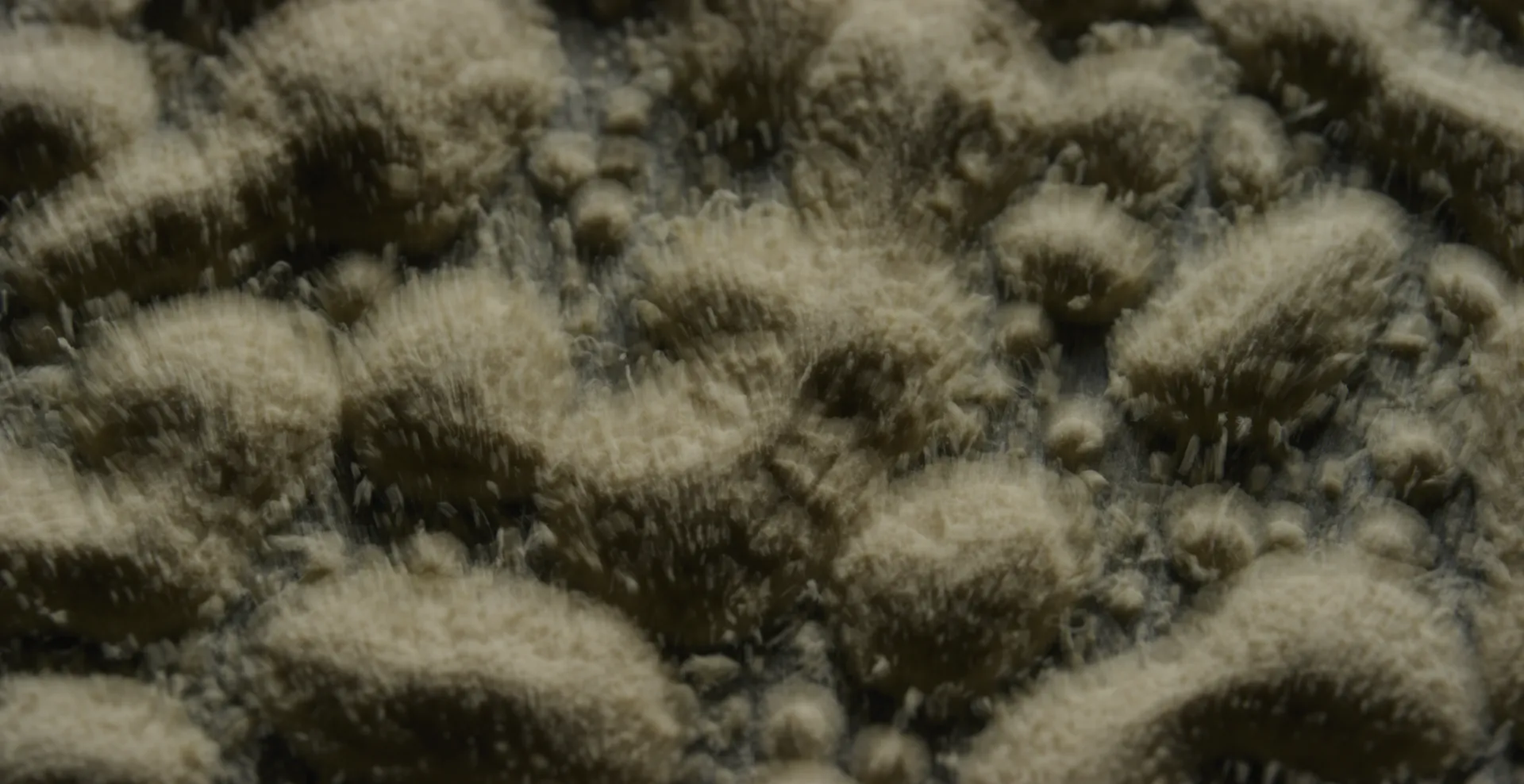 Fuzzy mounds of powder bristling with fine fibers
