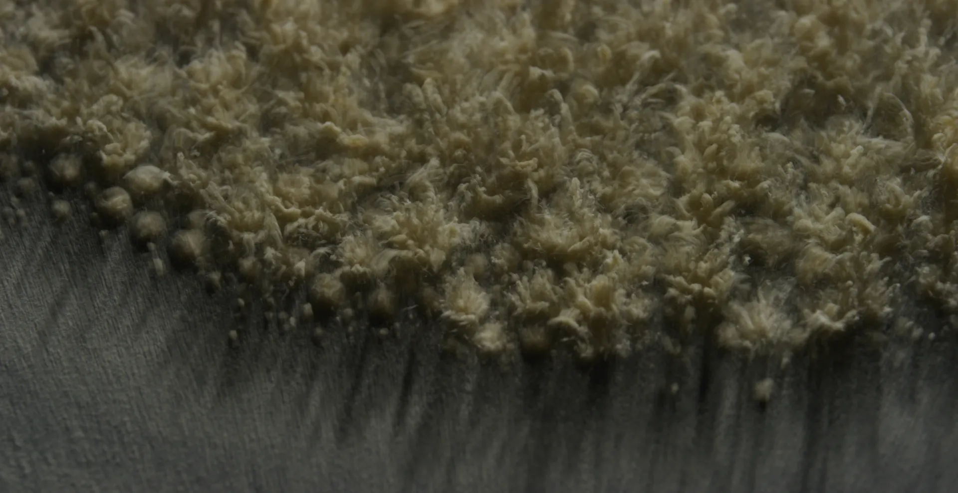 The bristling edge of a powder mound over a gray surface