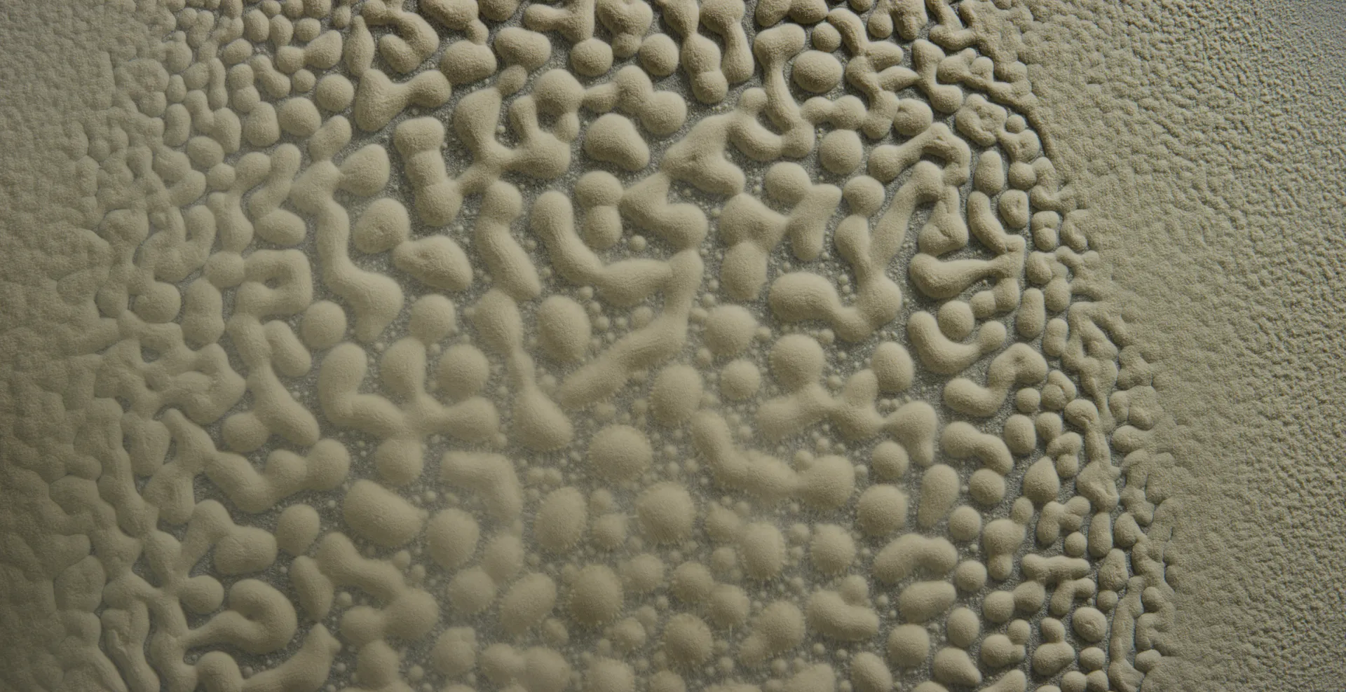 Pale powder pressed into a winding maze of ridges