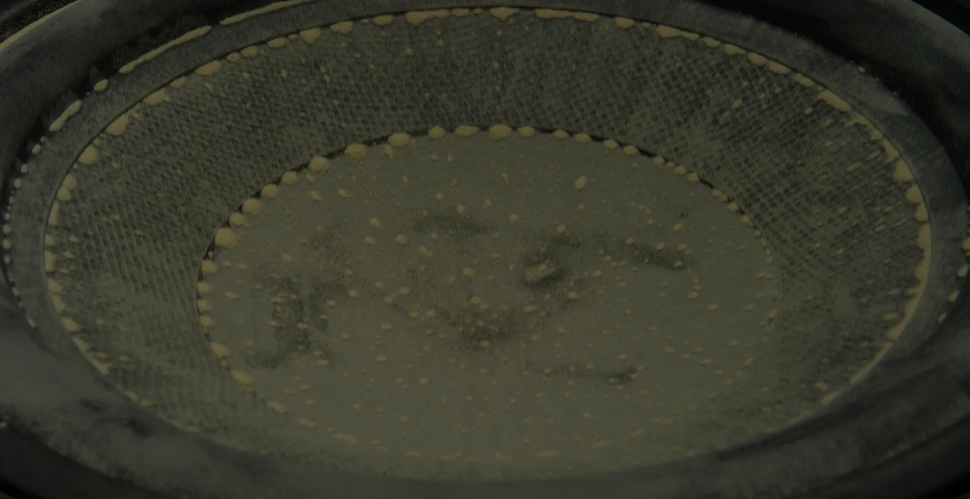 A speaker cone dusted with powder, a ring of beads tracing its mesh