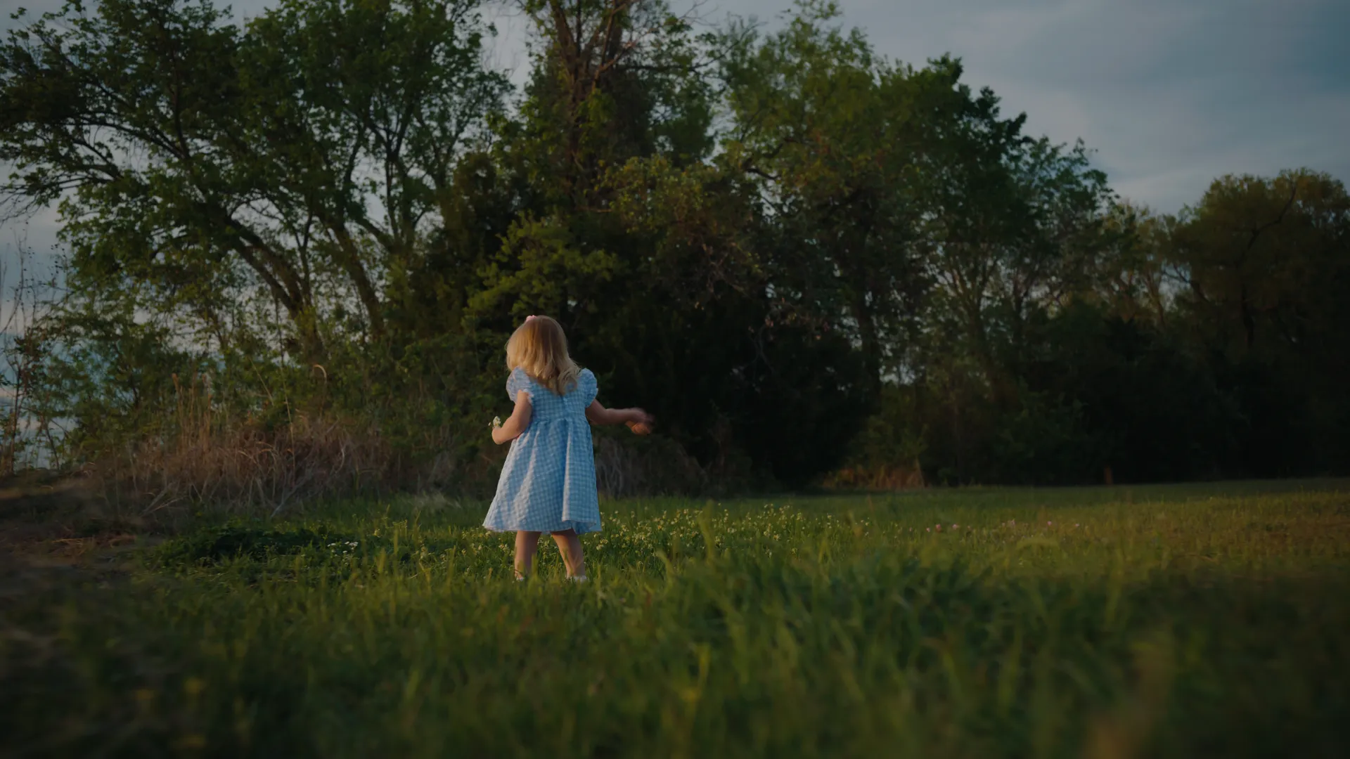 A small girl in a blue dress standing alone at the edge of the trees in golden light
